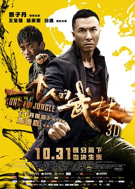 (Kung Fu Jungle)海报