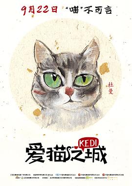 (伊斯坦布尔的猫)海报