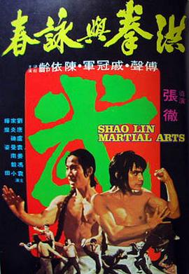 (Shaolin Martial Arts)海报