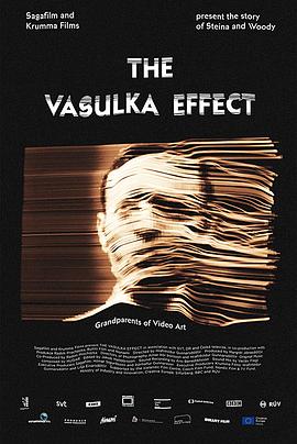 (The Vasulka Effect)海报