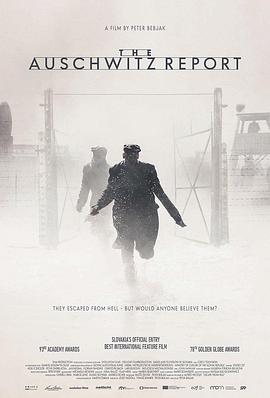 (The Auschwitz Report)海报