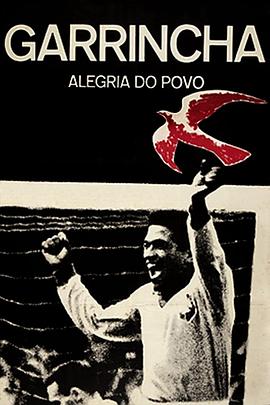 (Garrincha: Hero of the Jungle)海报