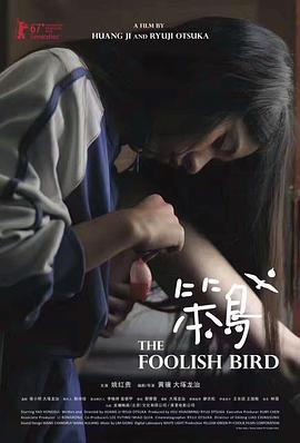 (The Foolish Bird)海报