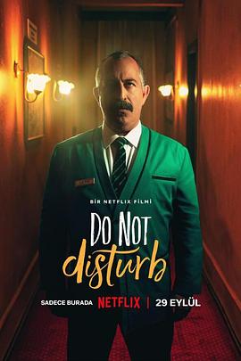 (Do Not Disturb: Ayzek ile Bir Gece)海报